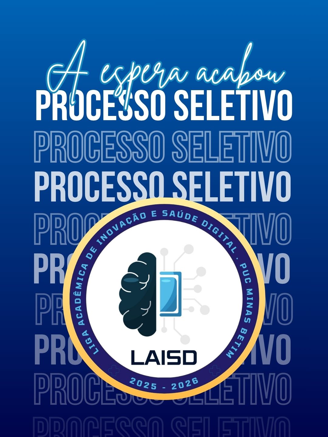 Imagem ilustrativa do processo seletivo da LAISD